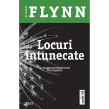 Locuri intunecate - Gillian Flynn