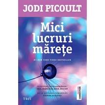 Mici lucruri marete - Jodi Picoult