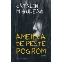 America de peste pogrom - Catalin Mihuleac