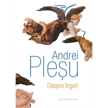 Despre ingeri - Andrei Plesu