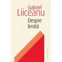 Despre limita - Gabriel Liiceanu