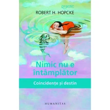 Nimic nu e intamplator. Coincidente si destin - Robert H. Hopcke