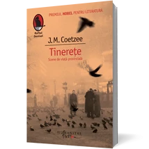 Tinerete. Scene de viata provinciala - J.M. Coetzee