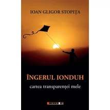 Ingerul Ionduh. Cartea transparentei mele - Ioan Gligor Stopita