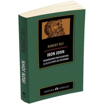 IRON JOHN. Redobandirea masculinitatii si cele 8 etape ale devenirii - Robert Bly