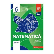 Matematica. Algebra, geometrie. Caiet de lucru. Clasa a VI-a. Initiere. Partea a II-a - Ion Tudor