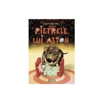 Pietrele lui Aston - Lotta Geffenblad