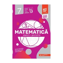 Matematica. Algebra, geometrie. Clasa a VII-a. Standard - Collective