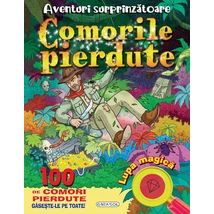 Aventuri surprinzatoare. Comorile pierdute