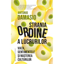 Strania ordine a lucrurilor. Viata, sentimentele si nasterea culturilor - Antonio Damasio