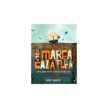 Dupa marea cazatura - Dan Santat