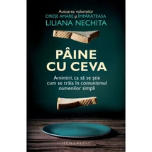 Paine cu ceva - Liliana Nechita
