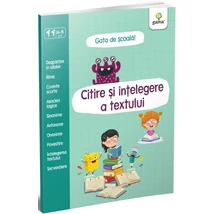Citire si intelegere a textului - Collective