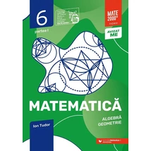 Matematica. Algebra, geometrie. Caiet de lucru. Clasa a VI-a. Initiere. Partea I - Collective