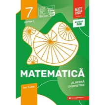 Matematica. Algebra, geometrie. Caiet de lucru. Clasa a VII-a. Initiere. Partea I - Collective
