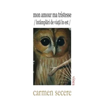 Mon amour ma tristesse/ intamplari de viata in est - Carmen Secere