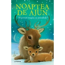 Noaptea de ajun. 10 povesti magice cu animalute - Rachel Delahaye