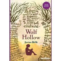 Wolf Hollow - Lauren Wolk