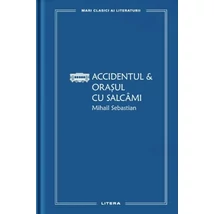 Accidentul & Orasul cu salcami