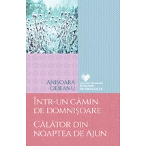 Intr-un camin de domnisoare. Calator din noaptea de Ajun - Anisoara Odeanu