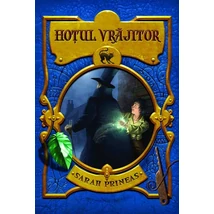 Hoțul vrajitor - Sarah Prineas