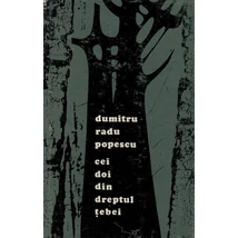 Cei doi din dreptul Tebei - Dumitru Radu Popescu