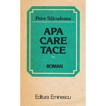 Apa care tace - Petre Salcudeanu