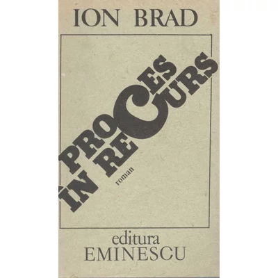 Proces in recurs - Ion Brad