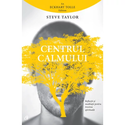 Centrul calmului - Steve Taylor