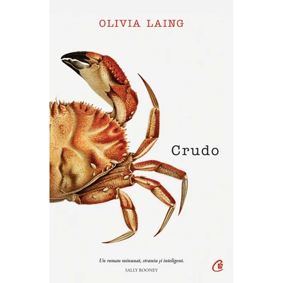 Crudo - Olivia Laing