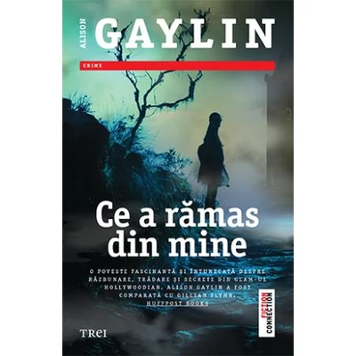 Ce a ramas din mine - Alison Gaylin