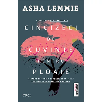 Cincizeci de cuvinte pentru ploaie - Asha Lemmie