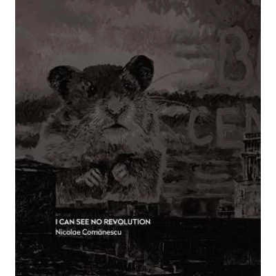 I can see no revolution - Nicolae Comanescu