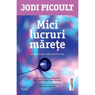 Mici lucruri marete - Jodi Picoult