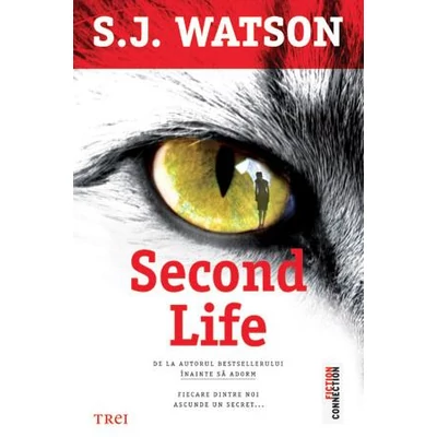 Second Life - S.J. Watson