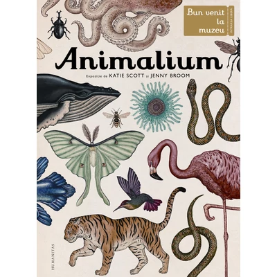 Animalium. Bun venit la muzeu. Intrarea libera - Katie Scott, Jenny Broom