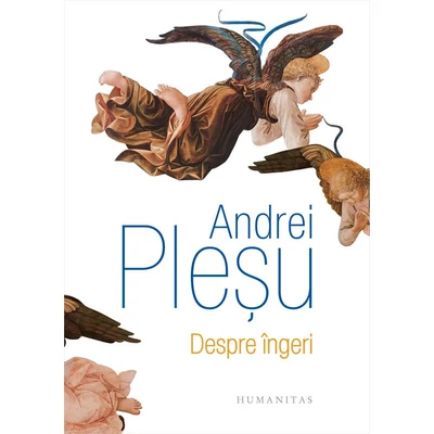 Despre ingeri - Andrei Plesu