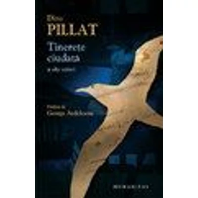 Tinerete ciudata si alte scrieri - Dinu Pillat