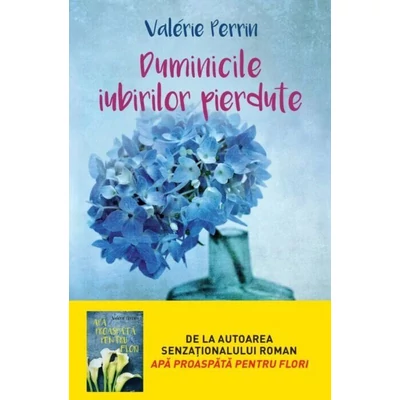 Duminicile iubirilor pierdute - Valérie Perrin