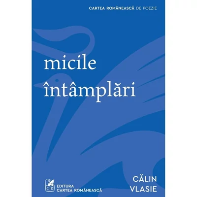 micile intamplari - Calin Vlasie