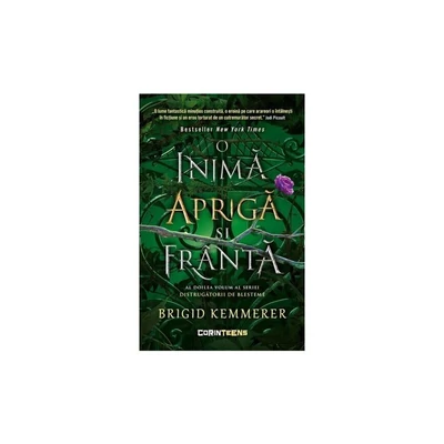 O inima apriga si franta (seria Distrugatorii de blesteme, vol. 2) - Brigid Kemmerer
