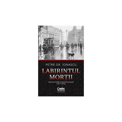 Labirintul mortii - Petre Gr. Ionascu