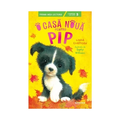 O casa noua pentru Pip - Linda Chapman