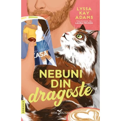 Nebuni din dragoste (seria Bromance vol. 3)
