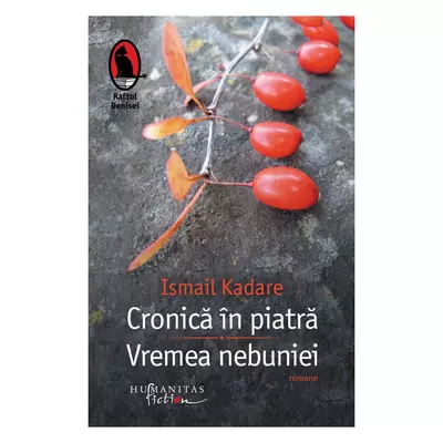 Cronica in piatra. Vremea nebuniei - Ismail Kadare