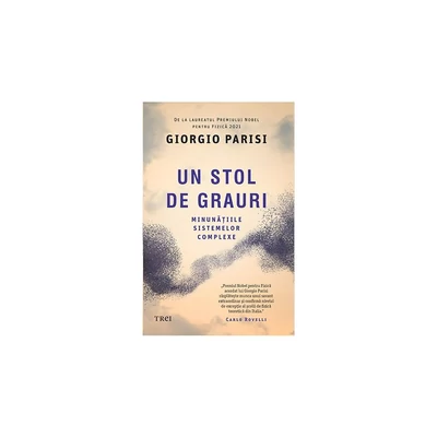 Un stol de grauri. Minunatiile sistemelor complexe - Giorgio Parisi