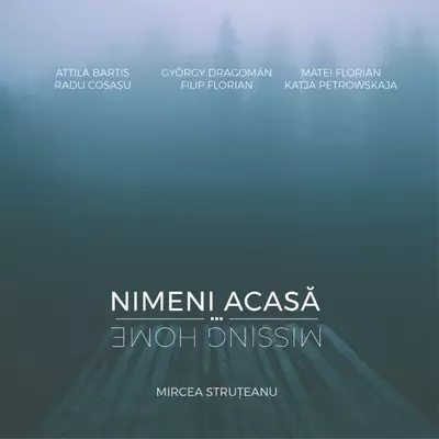 Nimeni acasa / Missing Home - Mircea Struteanu