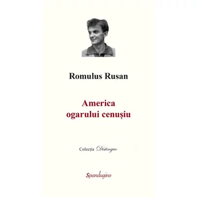 America ogarului cenusiu - Romulus Rusan