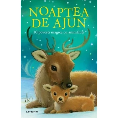 Noaptea de ajun. 10 povesti magice cu animalute - Rachel Delahaye