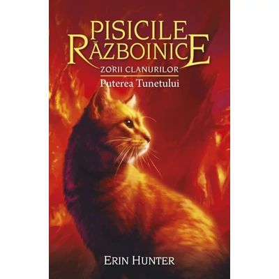 Pisicile razboinice (vol. 26): Zorii clanurilor. Puterea tunetului - Erin Hunter